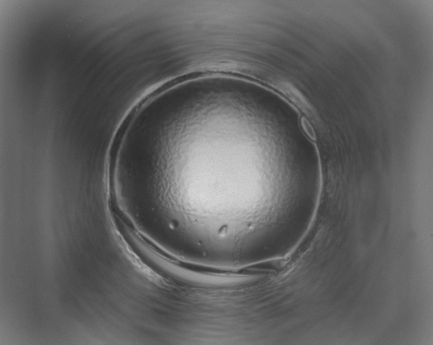 X0000070231036200606021342