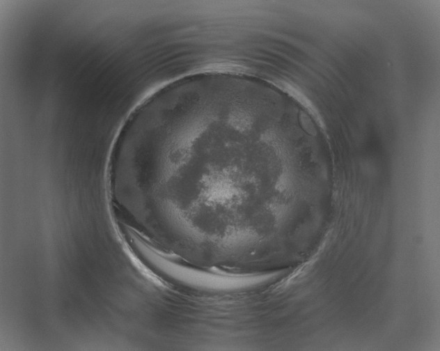 X0000070231037200606021342