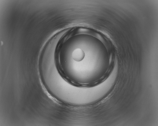 X0000070231038200606021342