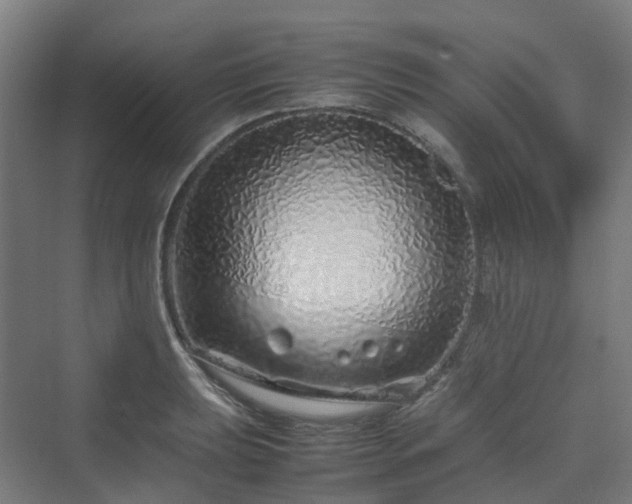 X0000070231039200606021342