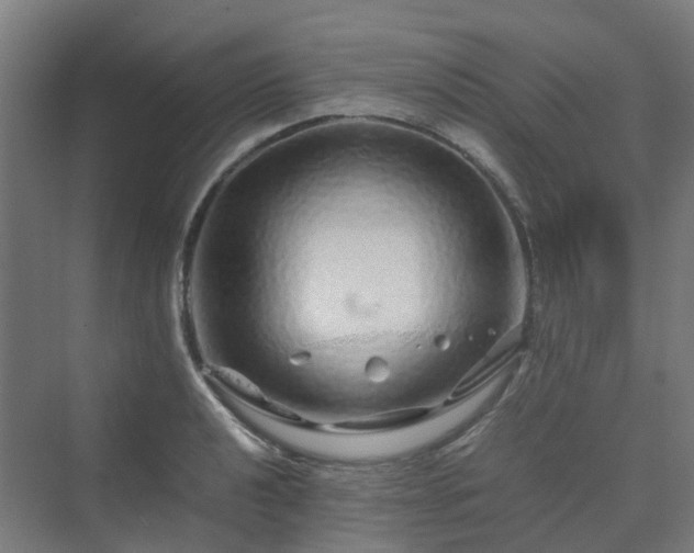 X0000070231040200606021342