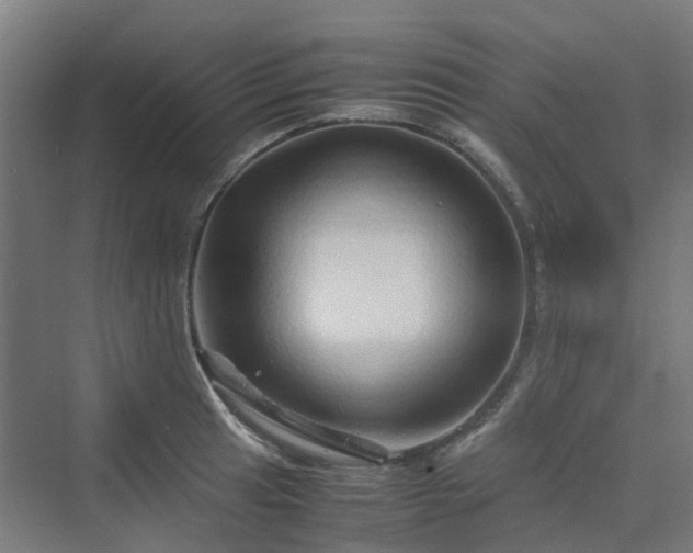 X0000070231041200606021342