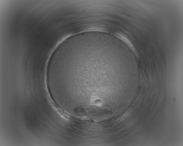 X0000070231043200606021342