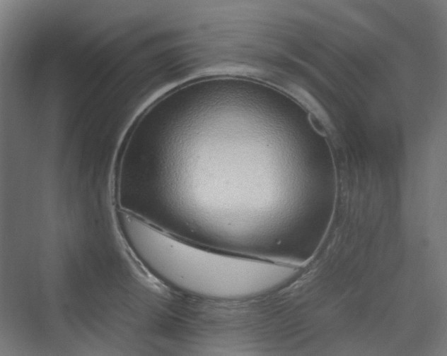 X0000070231044200606021342