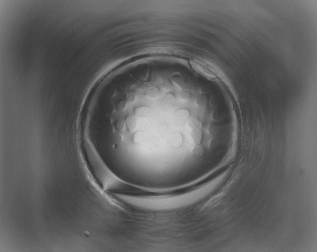 X0000070231045200606021342