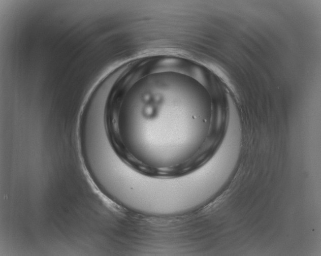 X0000070231046200606021342