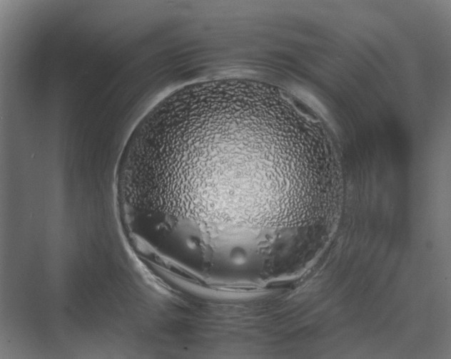 X0000070231047200606021342