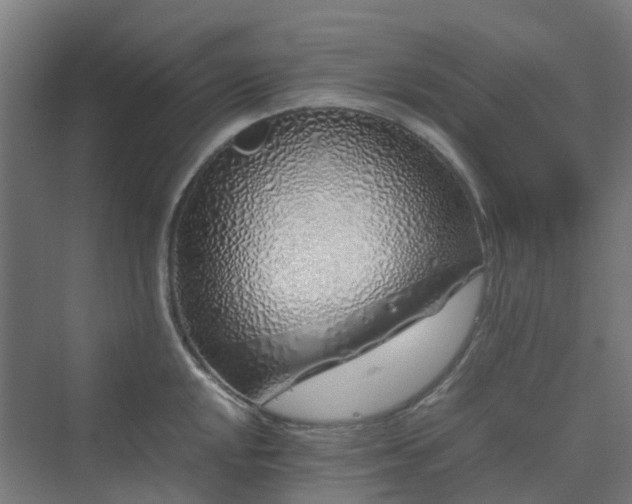 X0000070231048200606021342