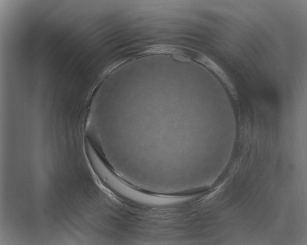 X0000070231049200606021342