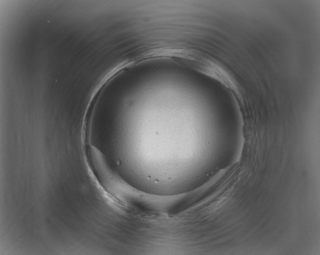 X0000070231050200606021342