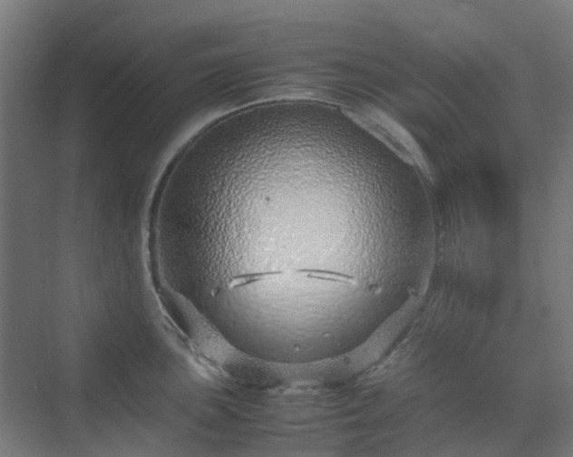 X0000070231051200606021342