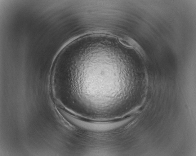 X0000070231052200606021342