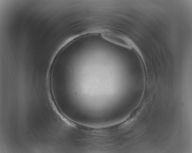 X0000070231053200606021342