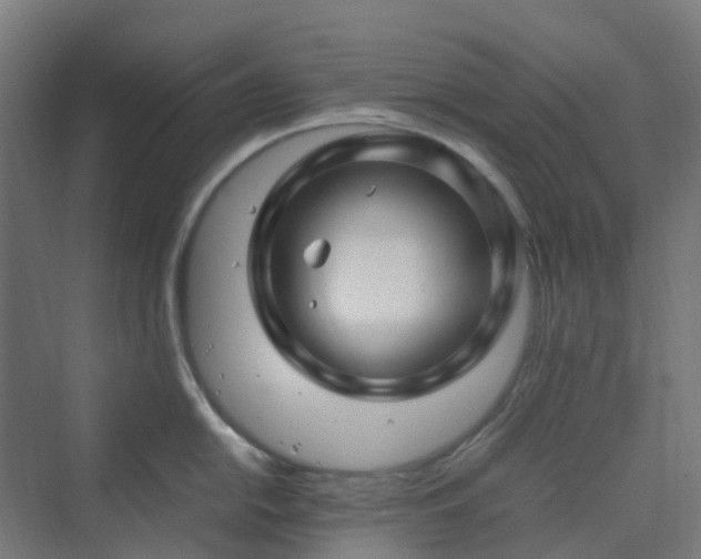 X0000070231054200606021342