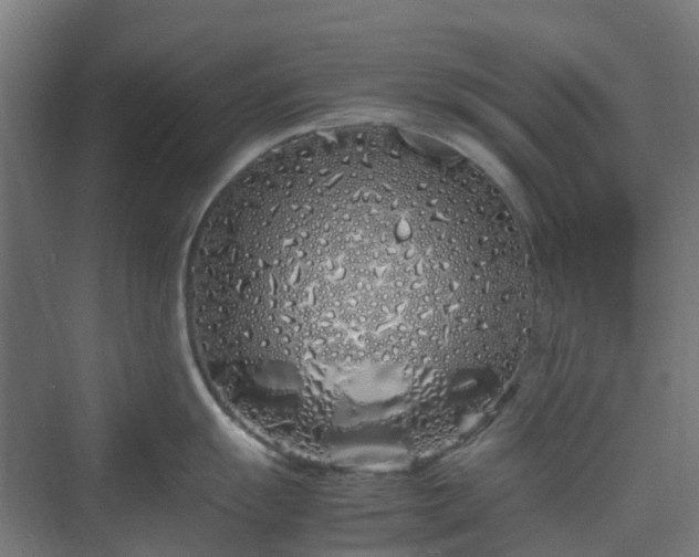 X0000070231055200606021342