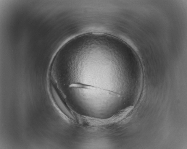 X0000070231056200606021342