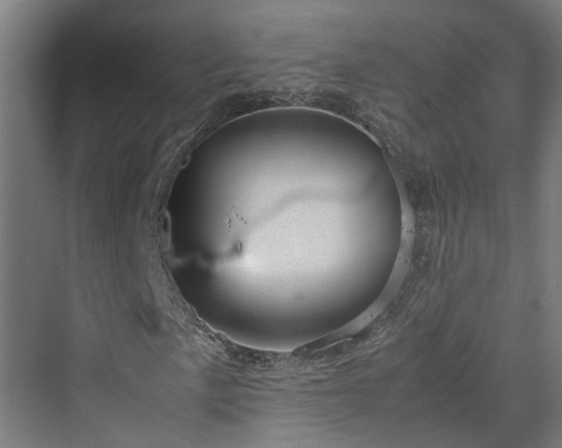 X0000070231057200606021341