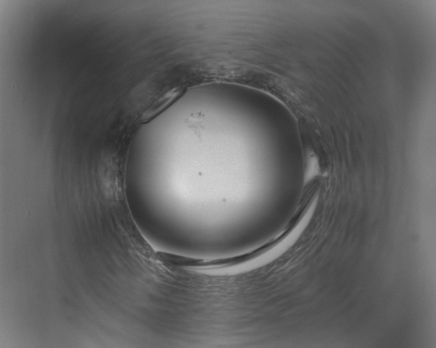 X0000070231058200606021341