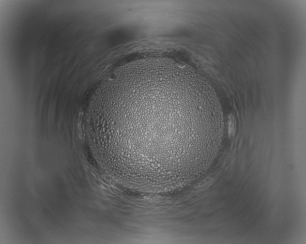 X0000070231059200606021341