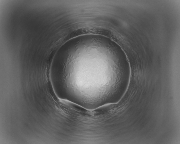 X0000070231060200606021341