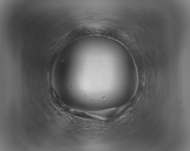 X0000070231061200606021341