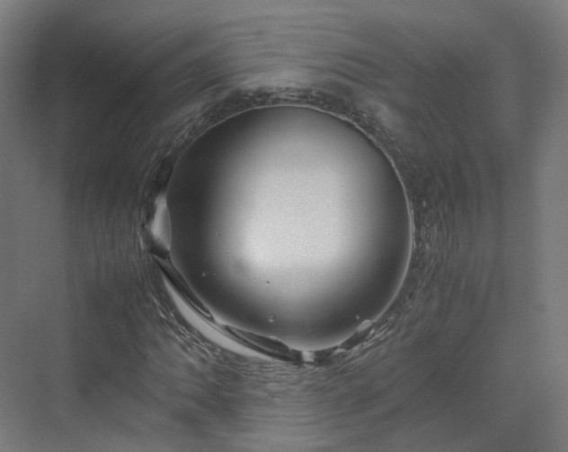 X0000070231062200606021341