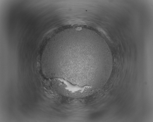 X0000070231063200606021341