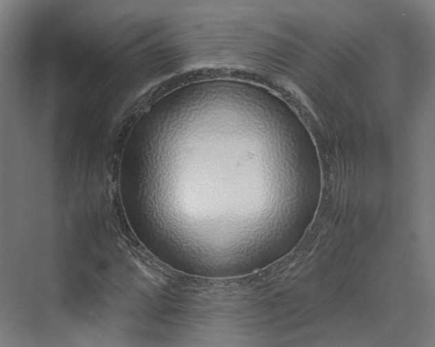 X0000070231064200606021341