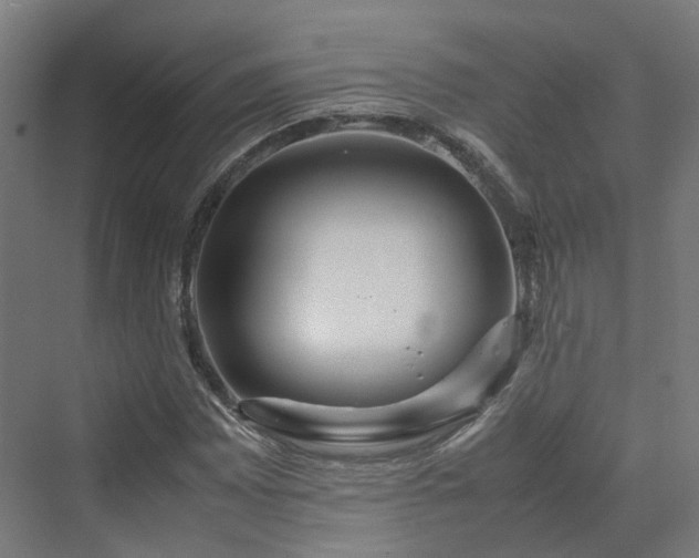 X0000070231065200606021341