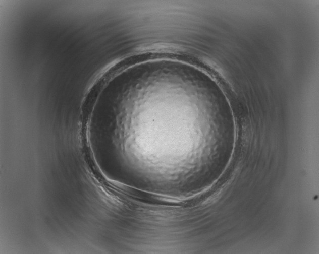 X0000070231066200606021341