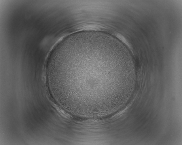 X0000070231067200606021341