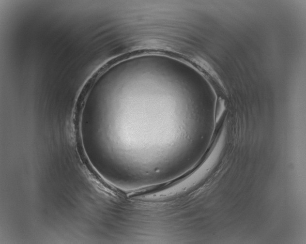 X0000070231068200606021341