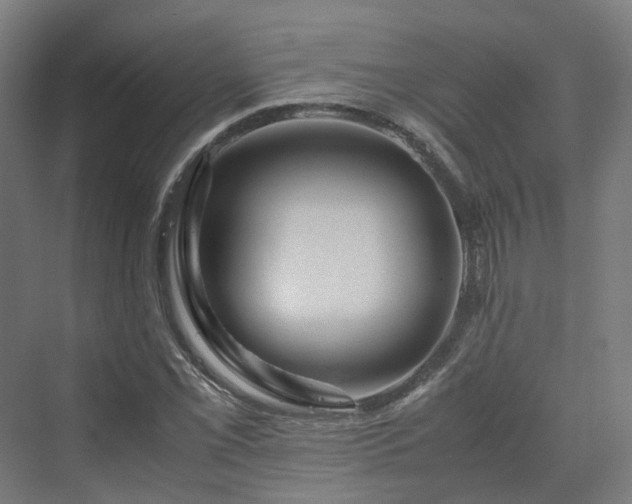 X0000070231069200606021341