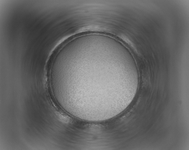 X0000070231070200606021341