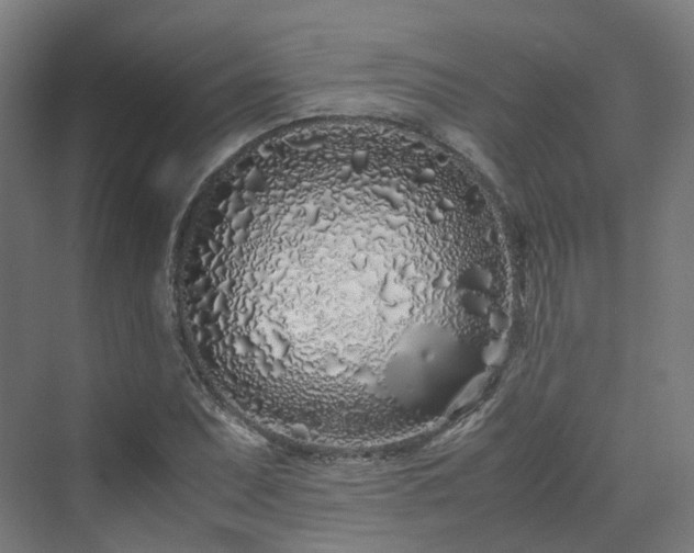 X0000070231071200606021341