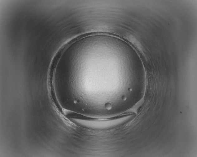 X0000070231072200606021341