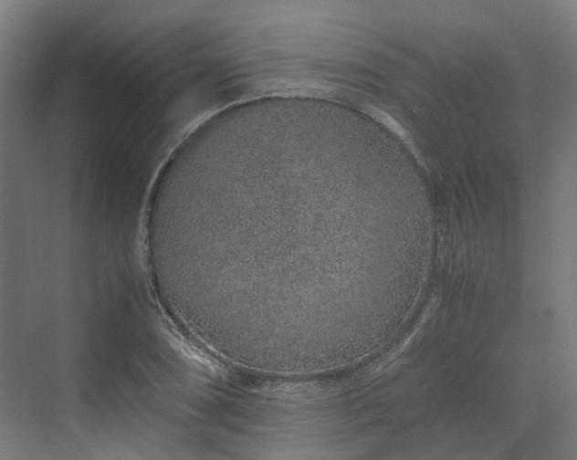 X0000070231074200606021341