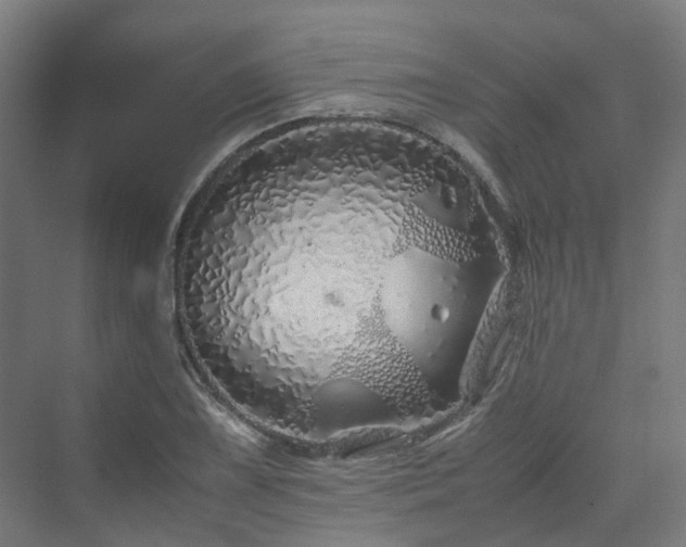 X0000070231075200606021341