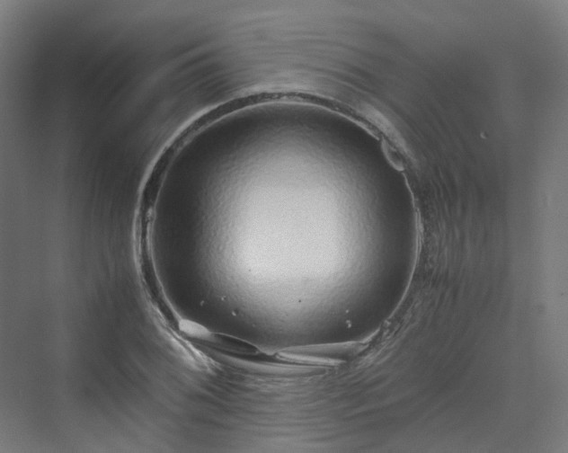 X0000070231076200606021341