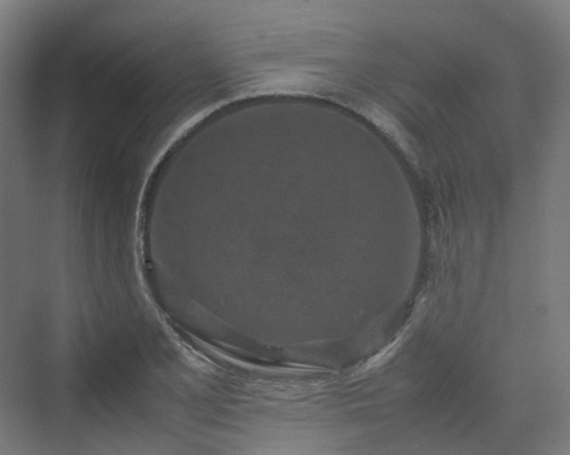 X0000070231077200606021341