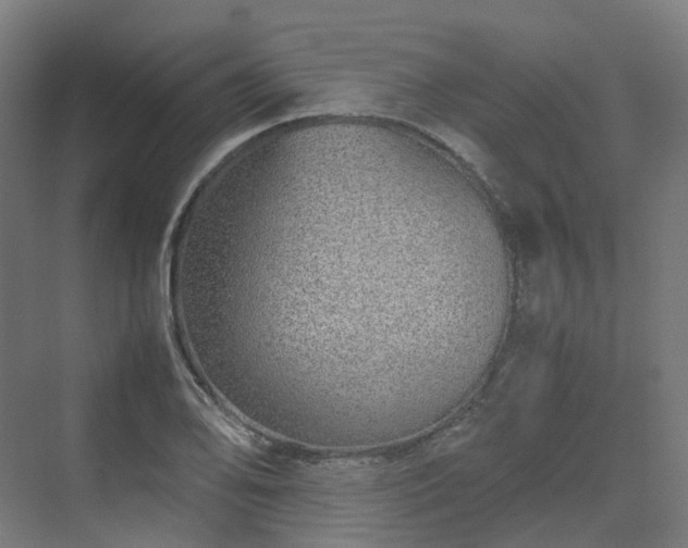 X0000070231078200606021341