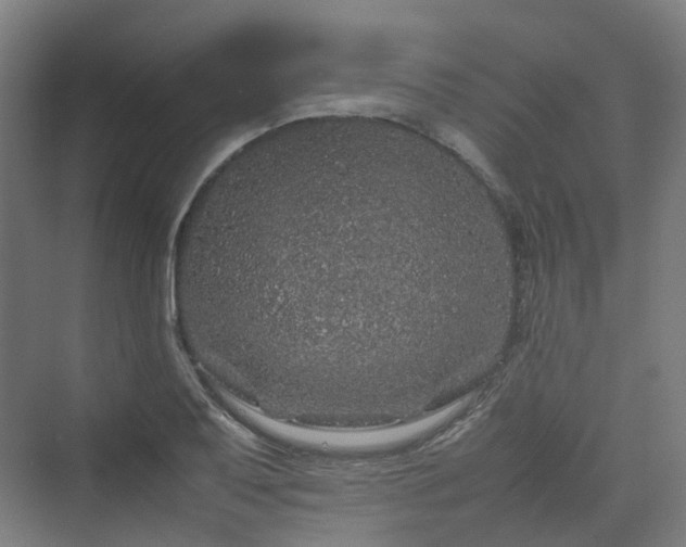 X0000070231079200606021341