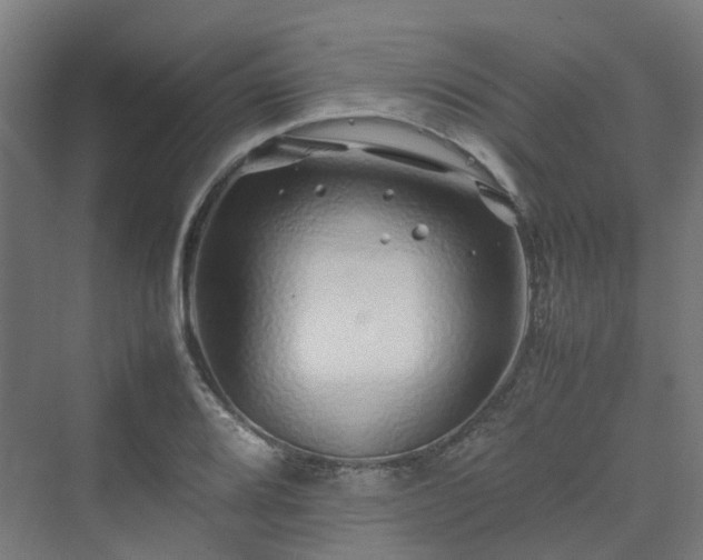 X0000070231080200606021341