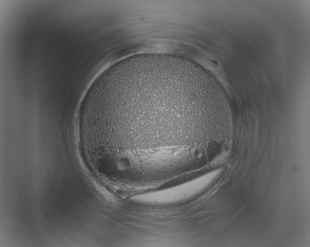 X0000070231083200606021341