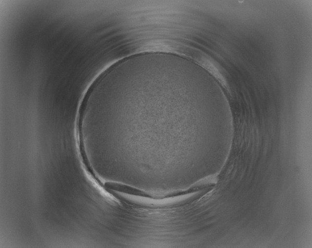 X0000070231084200606021341