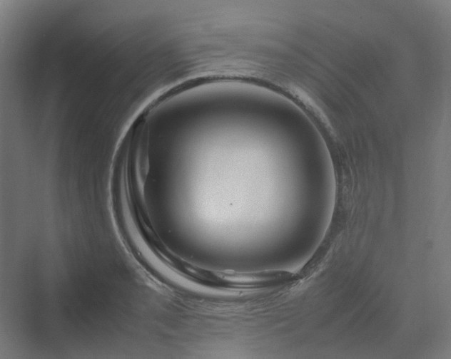 X0000070231085200606021341