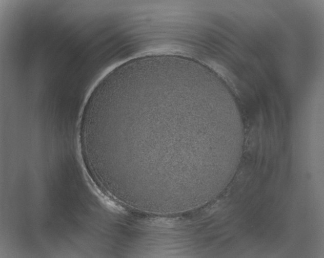 X0000070231086200606021341