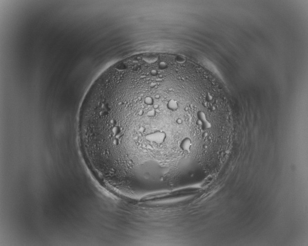 X0000070231087200606021341