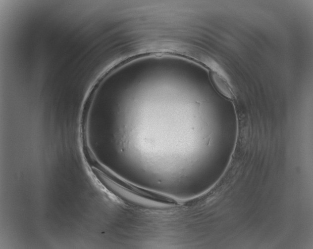 X0000070231088200606021341