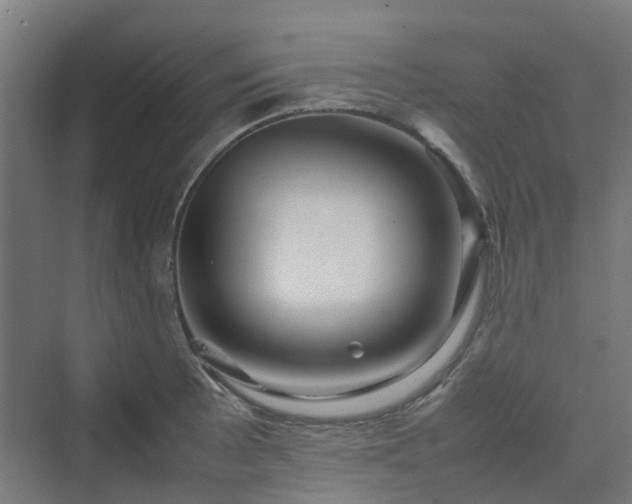 X0000070231089200606021341